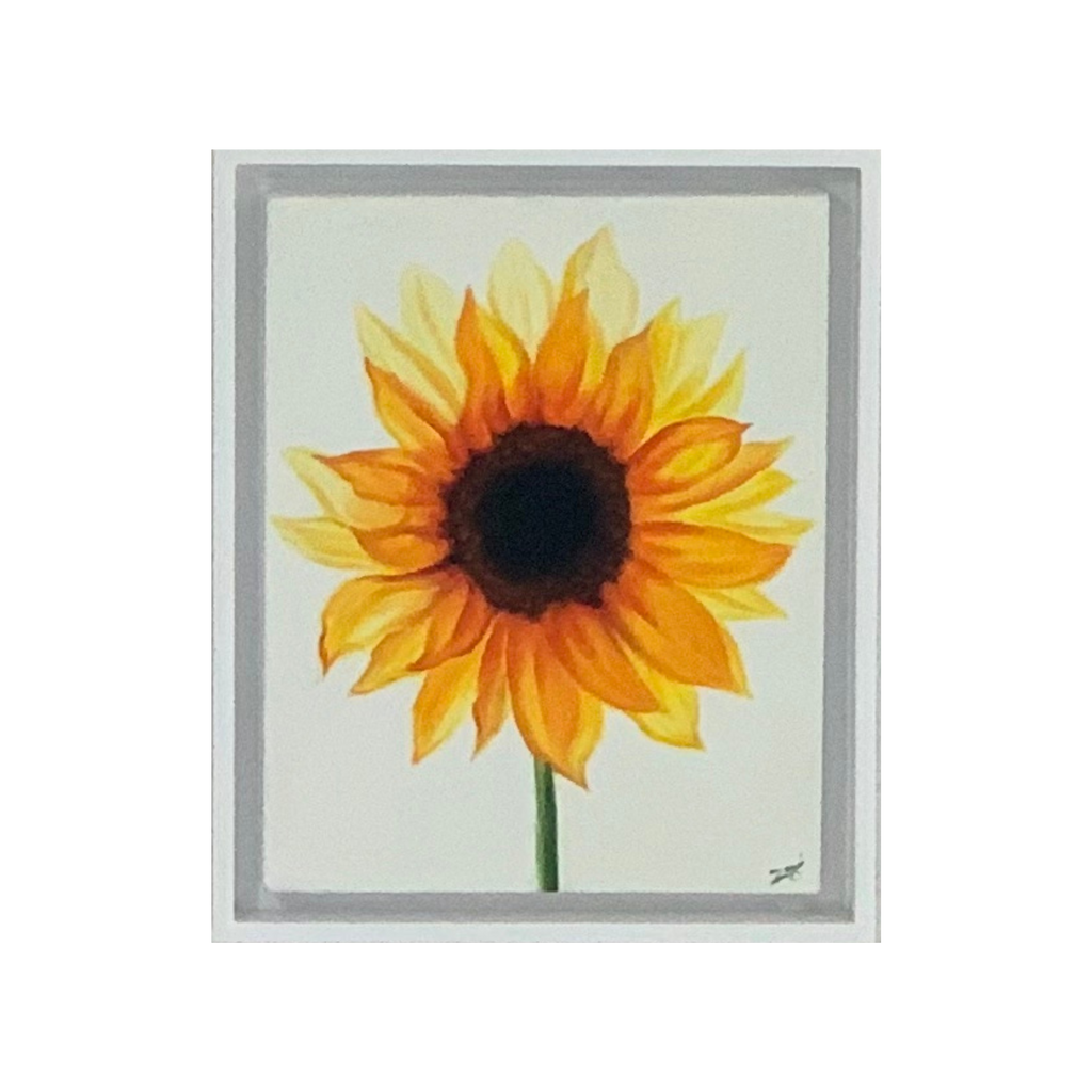 Cuadros Flores