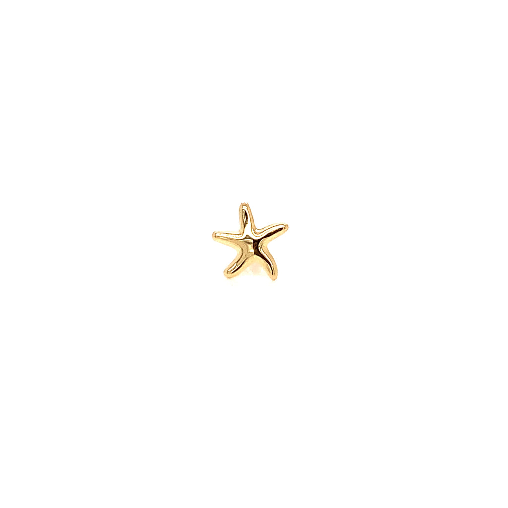 Piercing Broquel Oro 10K Estrella de Mar 1479