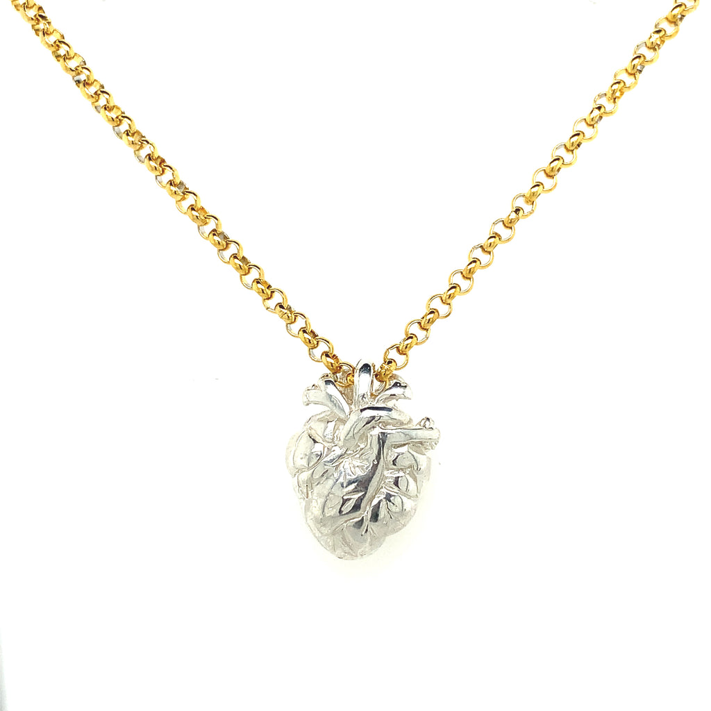 Collar Corazón Anatómico Plata con Cadena Chapa de Oro