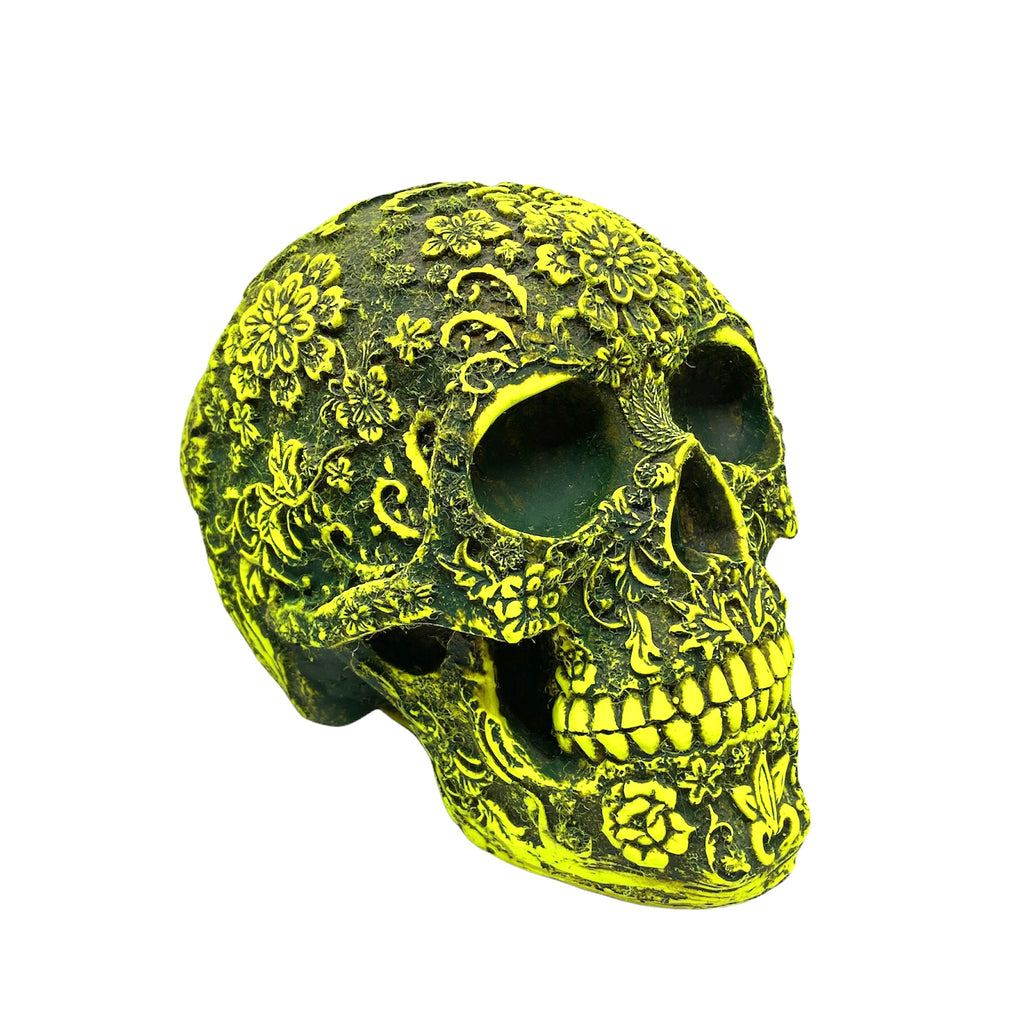 Large Phospho Skull