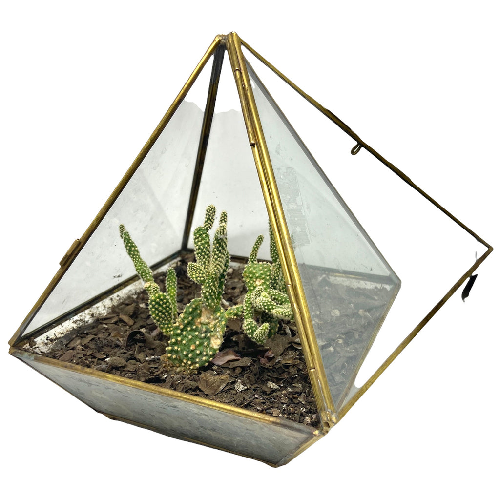 Double Mirrors Pyramid Planter