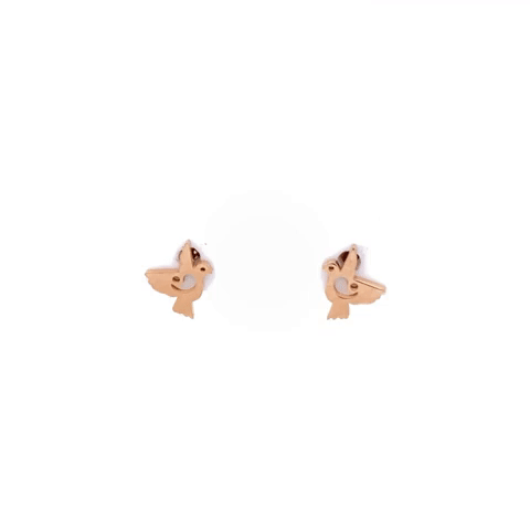 Aretes Poste Acero Paloma