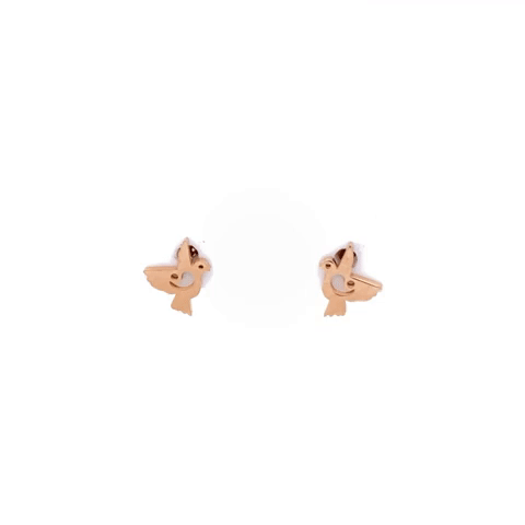 Paloma Steel Post Earrings