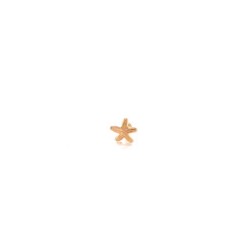 Piercing Broquel Oro 10K Estrella De Mar Grande Con Puntitos